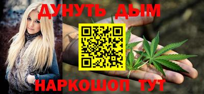 стаф Шелехов