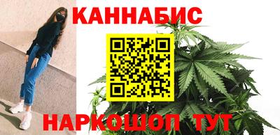 mdpv Ярославль
