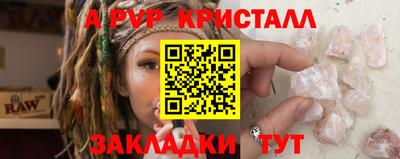 стаф Шелехов