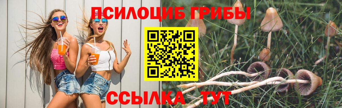как найти закладки  Вход с VPN  Алексин  Псилоцибиновые грибы ЛСД 