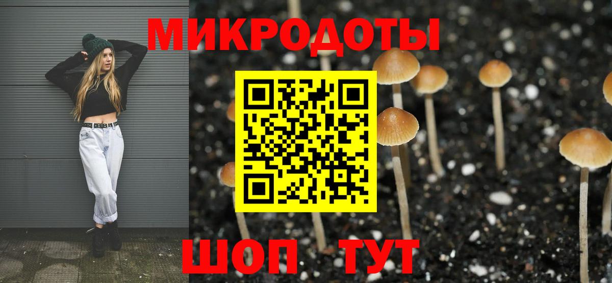 Галлюциногенные грибы ЛСД Алексин